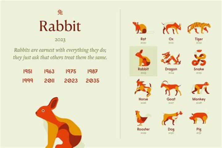 1987 Chinese Zodiac | Fire Rabbit