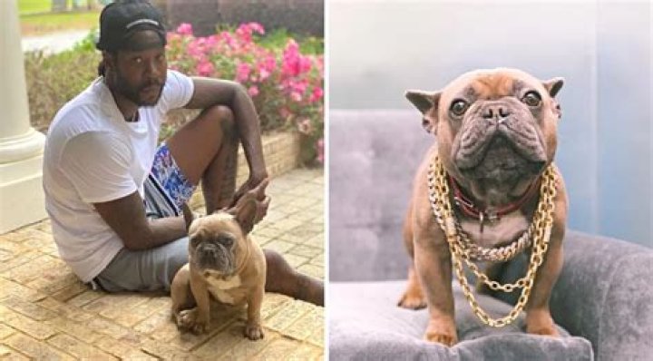 2 Chainz Pets