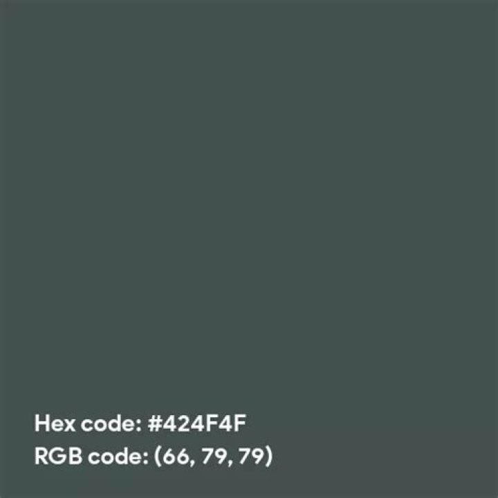 424f4 16628294872664