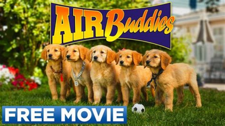 Air Bud - Cast, Ages, Trivia