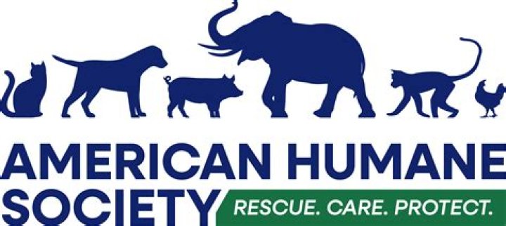 American Humane Association's 5th Annual Hero Dog Awards 2015