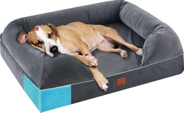 Are Kong dog beds washable?