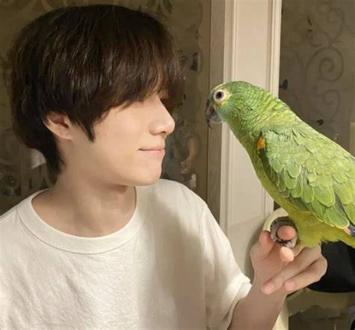 Beomgyu Pets