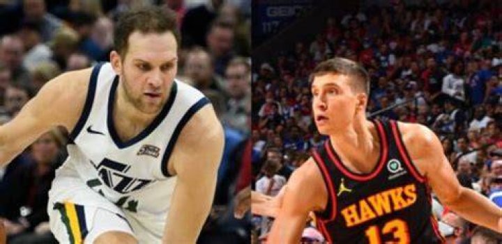 Bogdan Bogdanović Brother