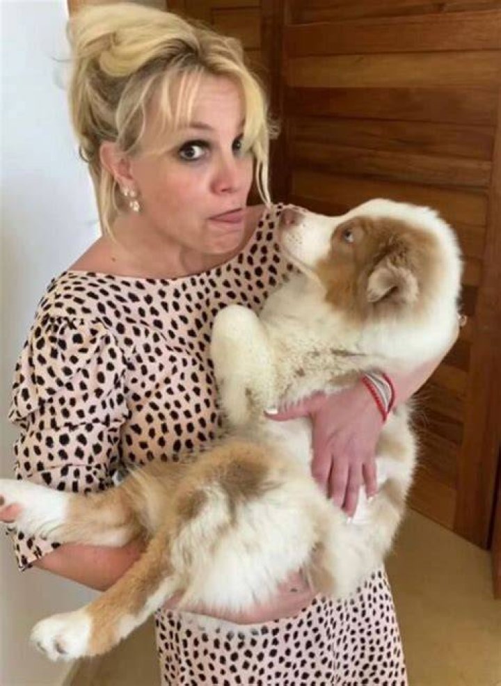 Britney Spears Pets