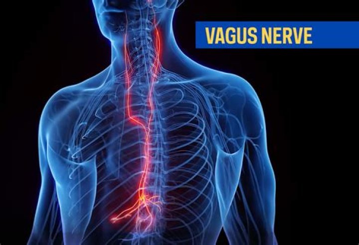 Can a hiatal hernia affect the vagus nerve?