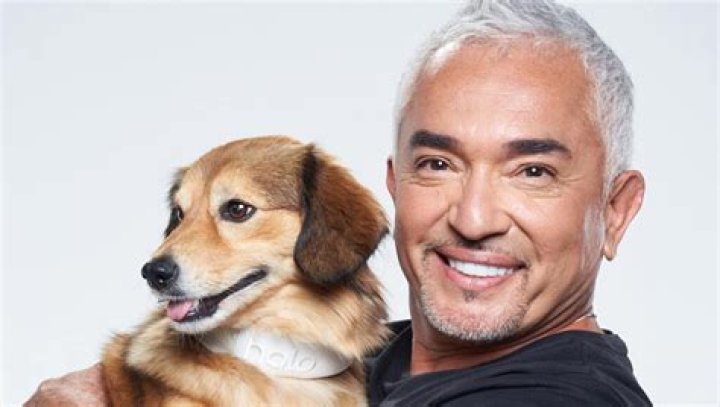 Cesar Millan Pets