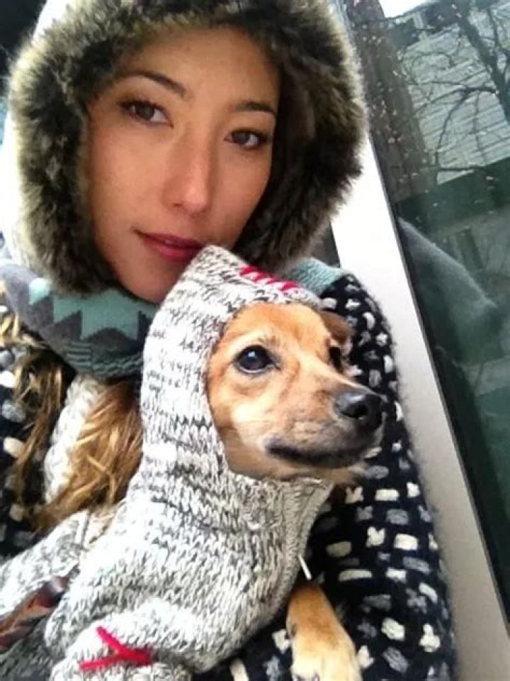 Dichen Lachman Pets