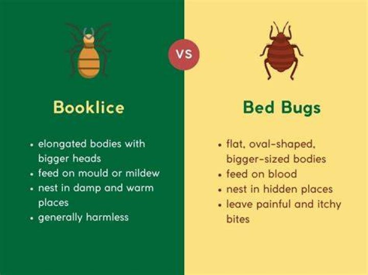 Do book mites bite?