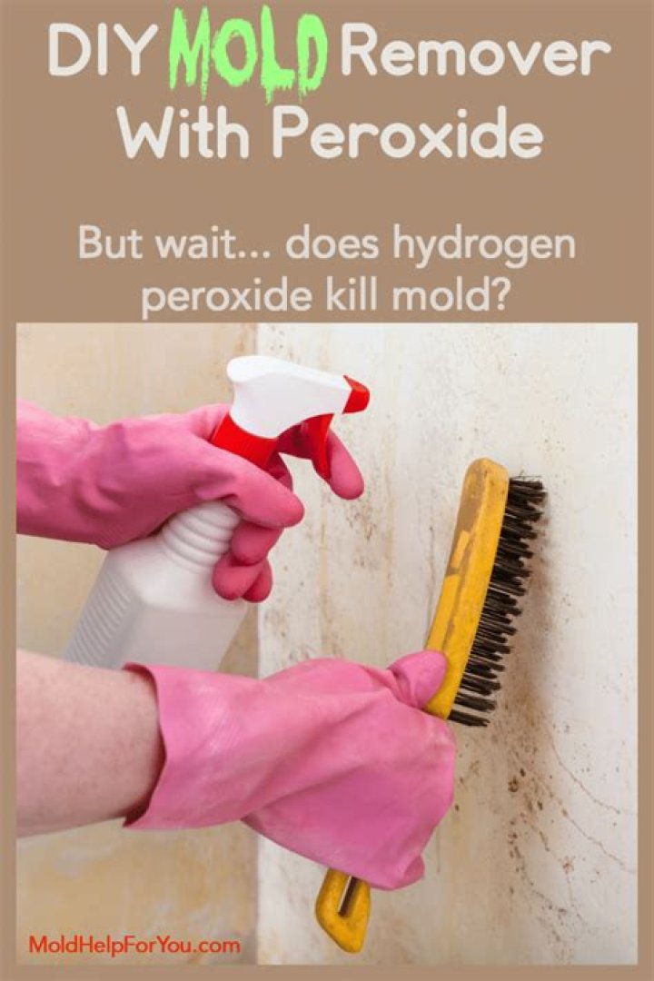 Does hydrogen peroxide kill mold spores?