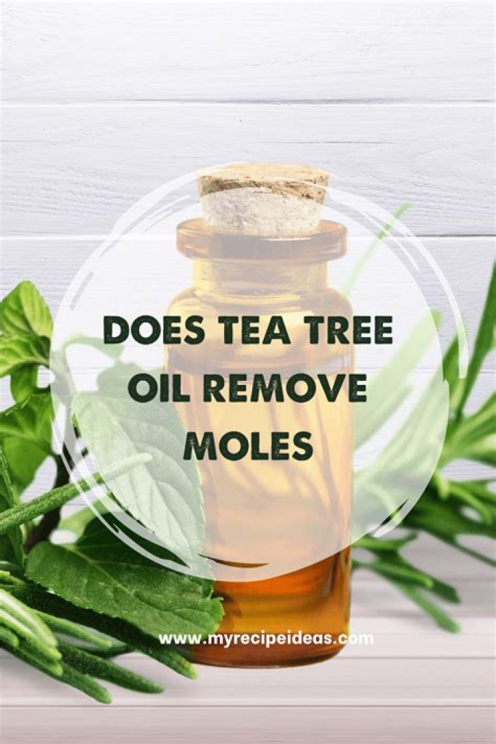 Does Tea Tree Oil remove Mould?