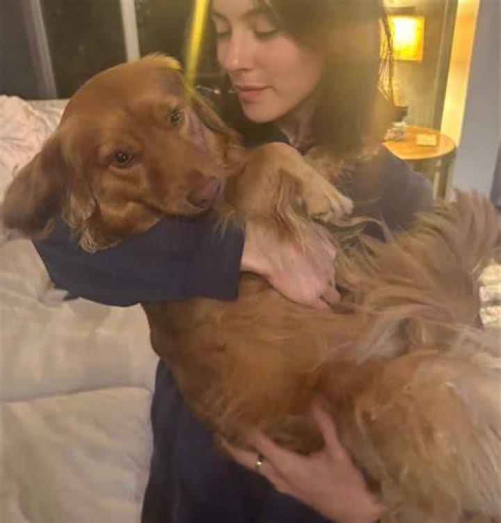 Gracie Abrams Pets
