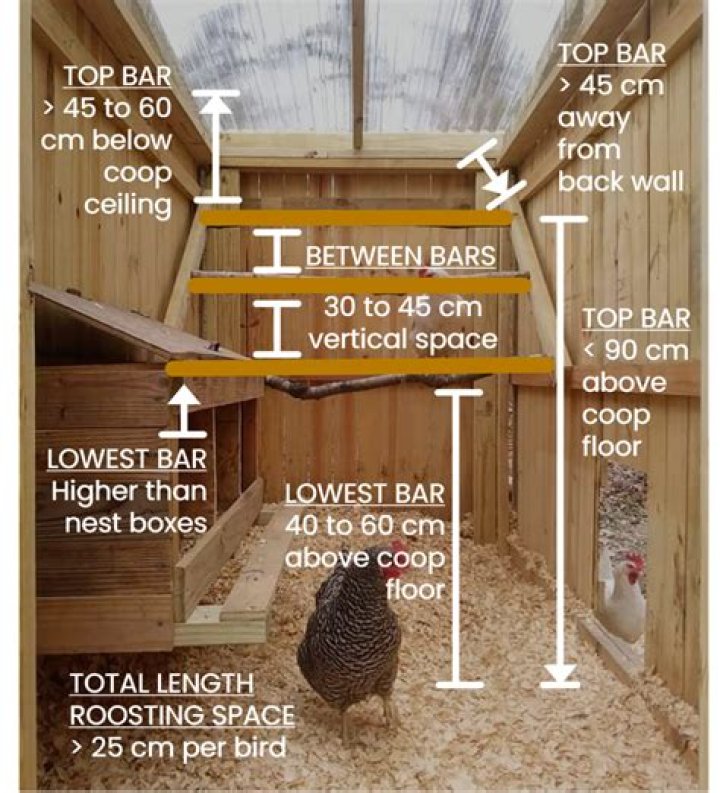 How high should a roosting pole be?