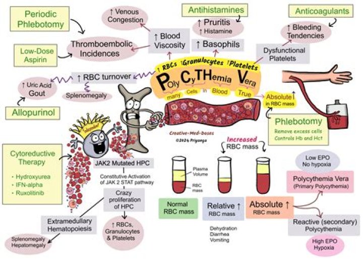 How often do you need phlebotomy for polycythemia?