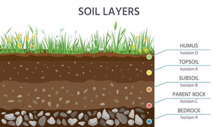 How thick should topsoil be for grass?