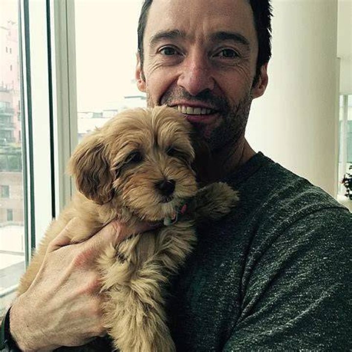 Hugh Jackman Pets