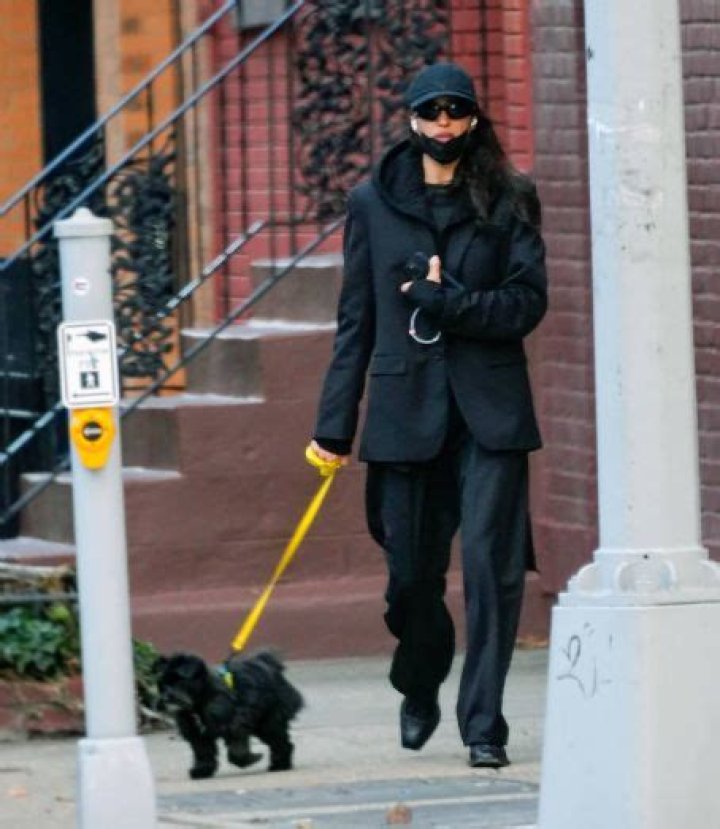 Irina Shayk steps out for late night walk with new beau Vito Schnabel