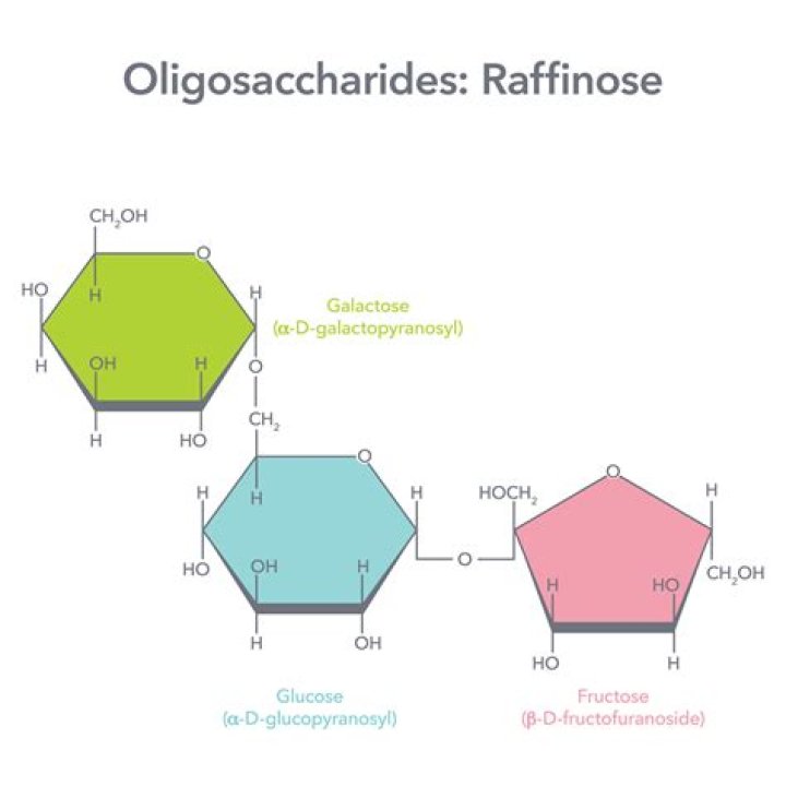 Is raffinose a polysaccharide?