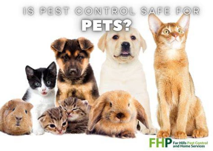 Is Yard Guard safe for pets?