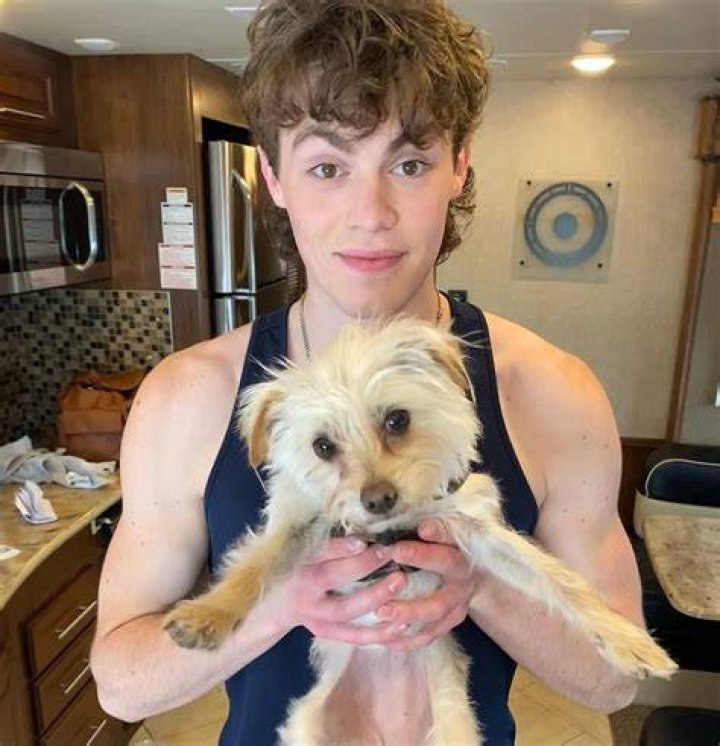 Jack Champion Pets
