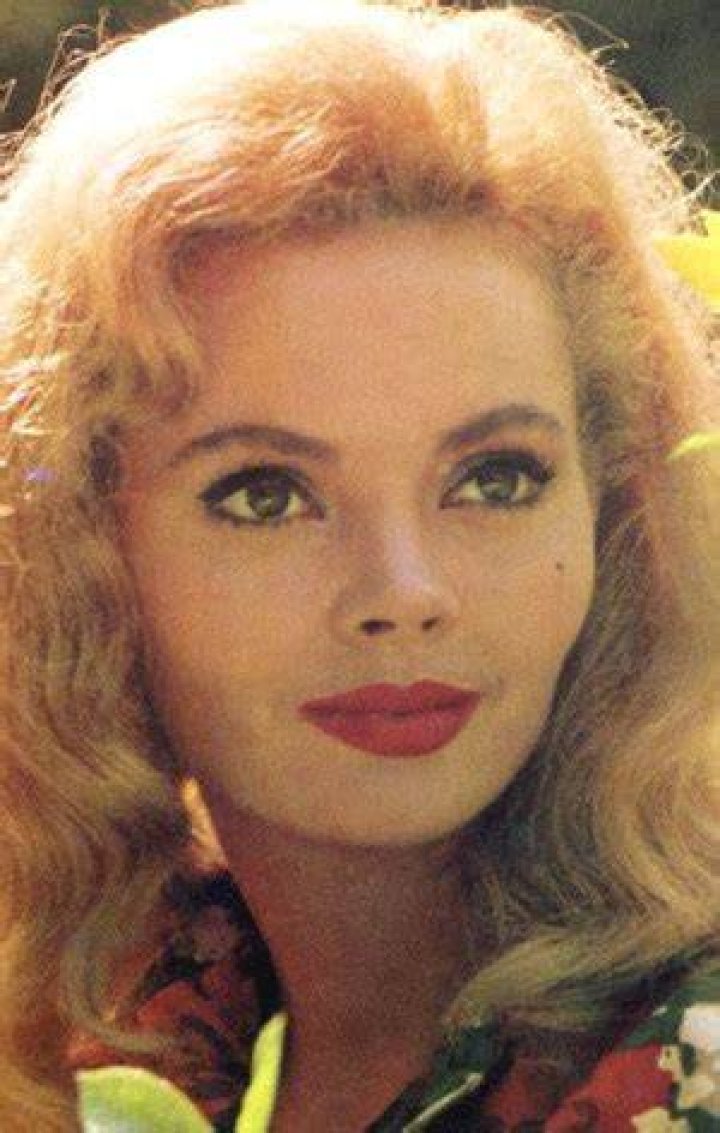 Jeannine Riley Bio (Wiki) 