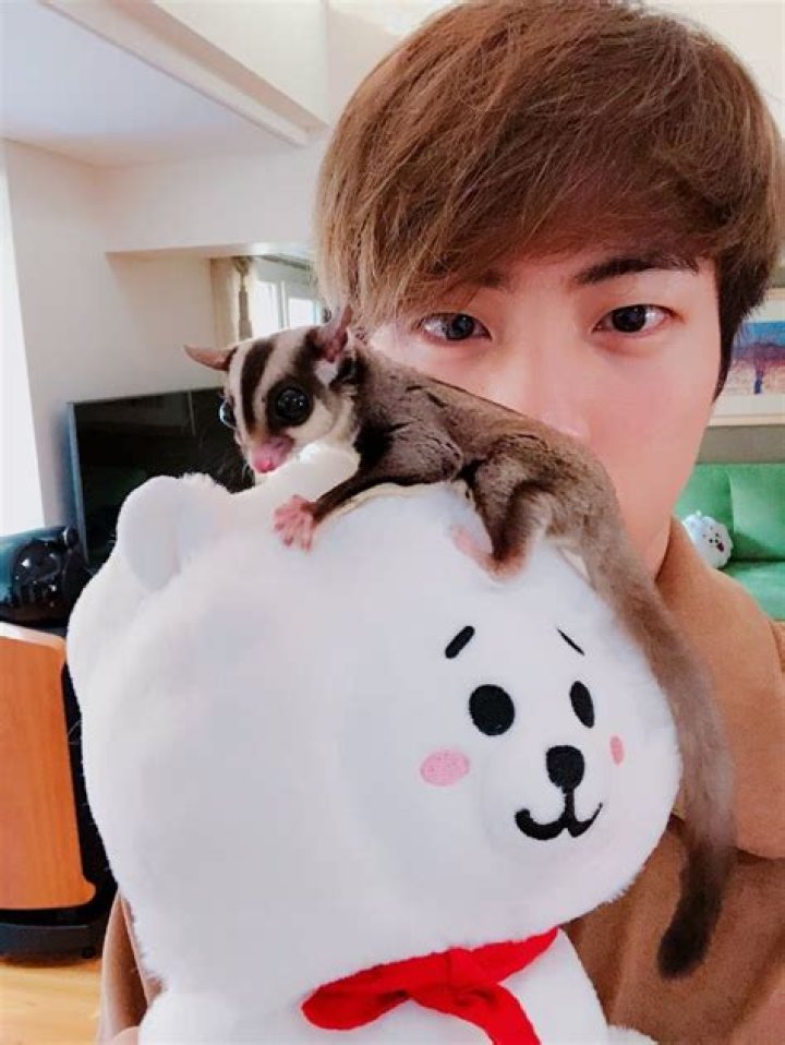 Jin Pets