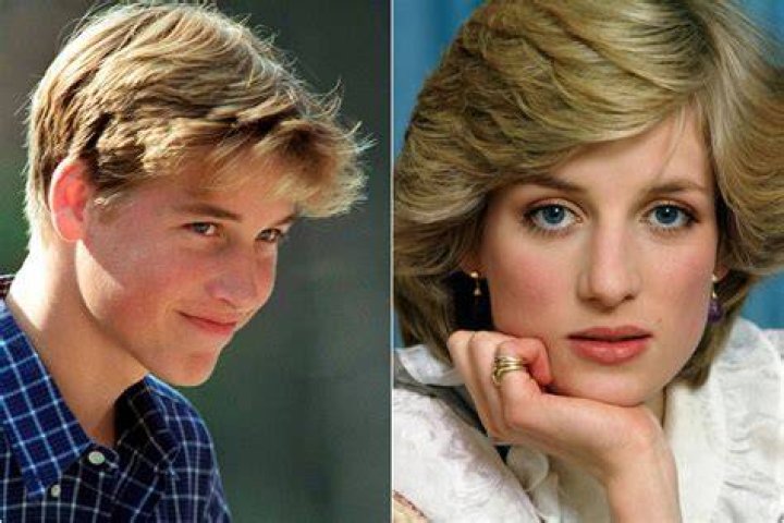 Lady Diana, Prince William and Prince Harry