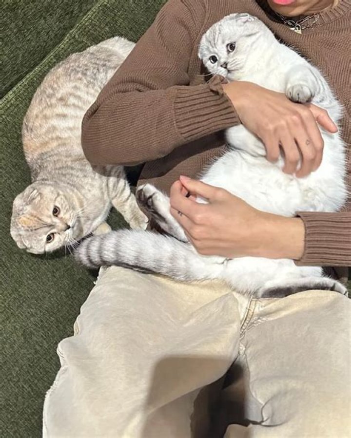 Larray (Larri Merritt) Pets