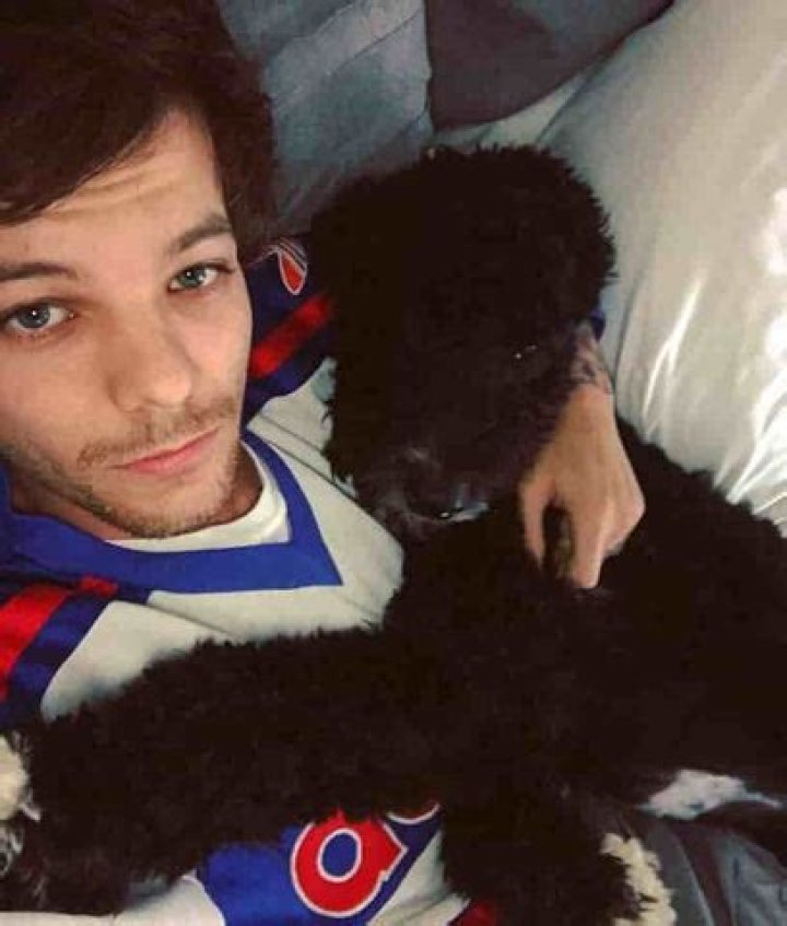 Louis Tomlinson Pets