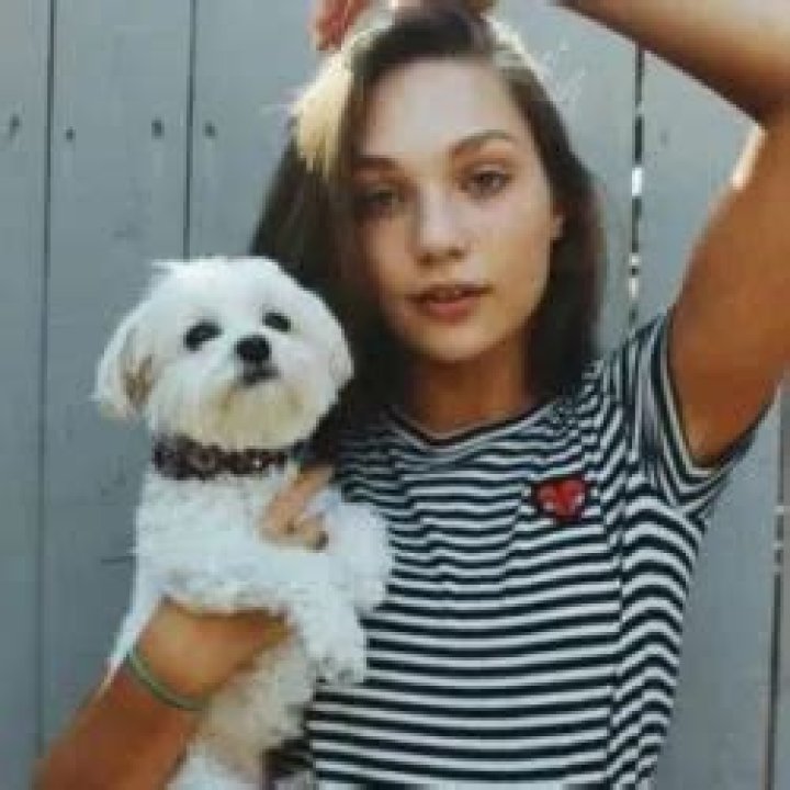 Mackenzie Ziegler Pets