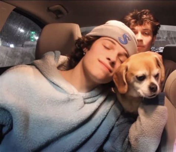 Matthew Sturniolo Pets