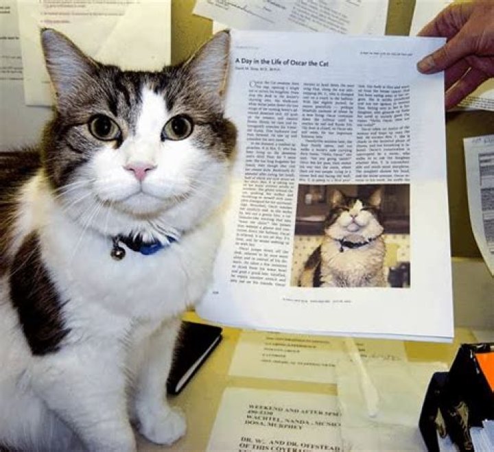 Oscar the therapy cat nursing home Rhode Island