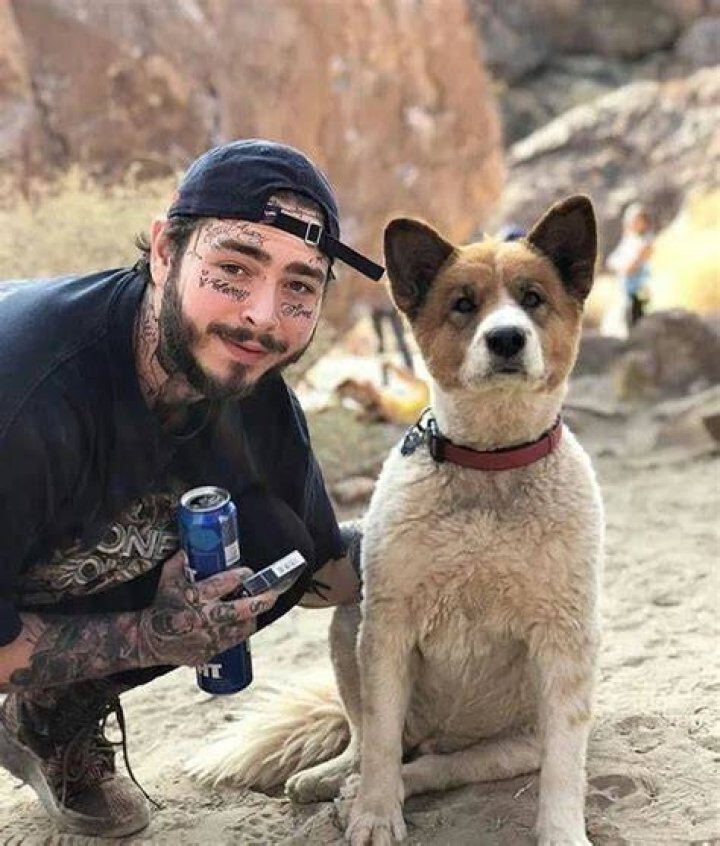 Post Malone Pets