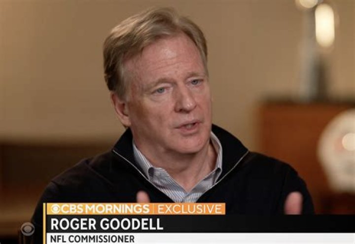 Roger Goodell photo 2