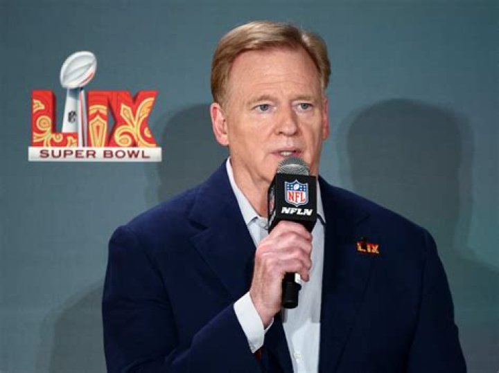 Roger Goodell photo 3