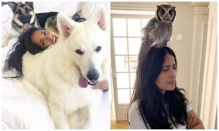 Salma Hayek Pets