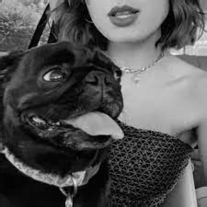 Sarah Cothran Pets