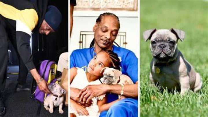 Snoop Dogg Pets