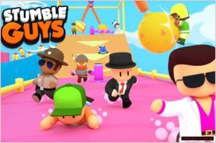 Stumble Guys - Gamers, Ages, Trivia
