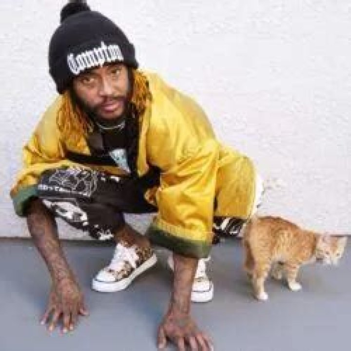 Thundercat Pets