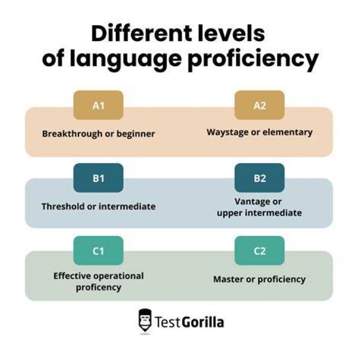 What are the ATI proficiency levels?