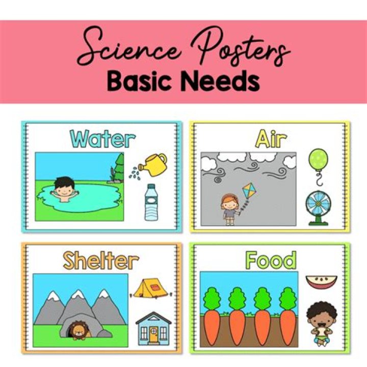 What are the five basic needs of an organism?