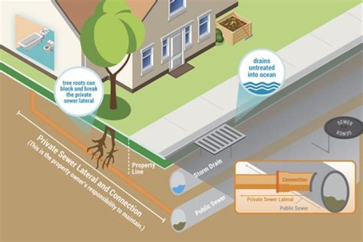 What can I put on a sewage spill?