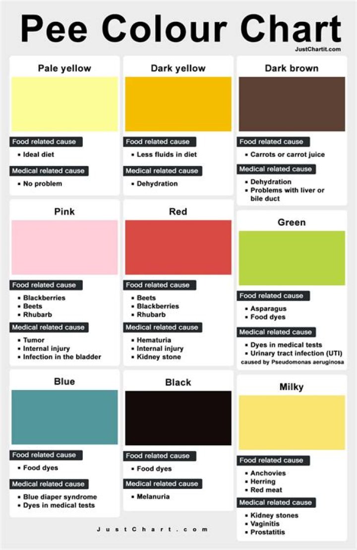 What Color Is Coyote pee?