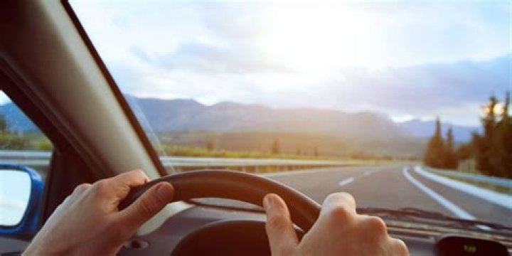 What does BPO mean on Florida drivers license?