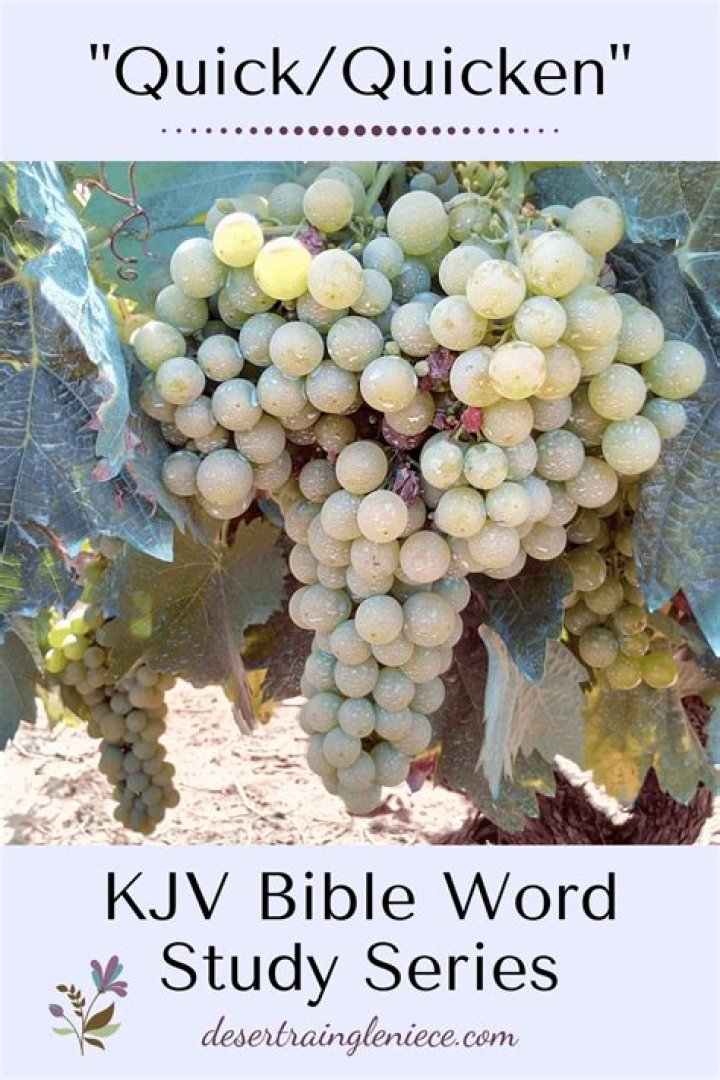 What does quicken mean in the Bible?