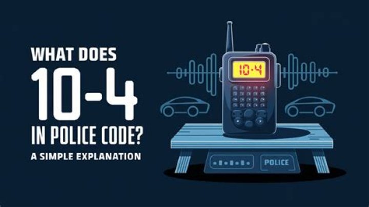 What is a 314 police code?