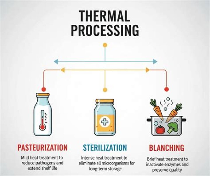 What is F value in thermal processing?