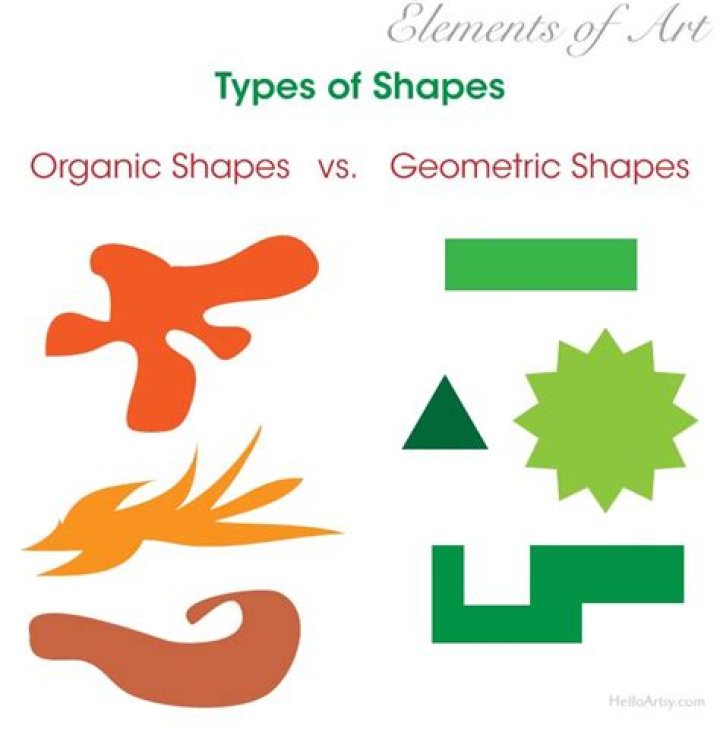 What is the difference between geometric and organic forms?