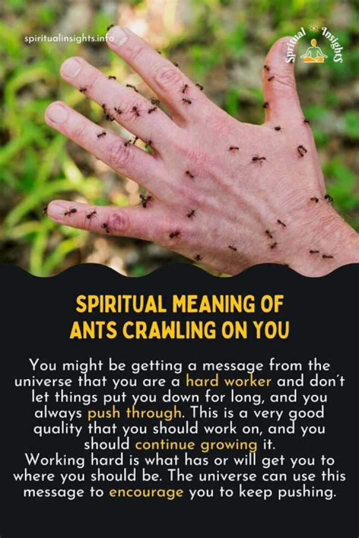 Why are ants crawling on me?